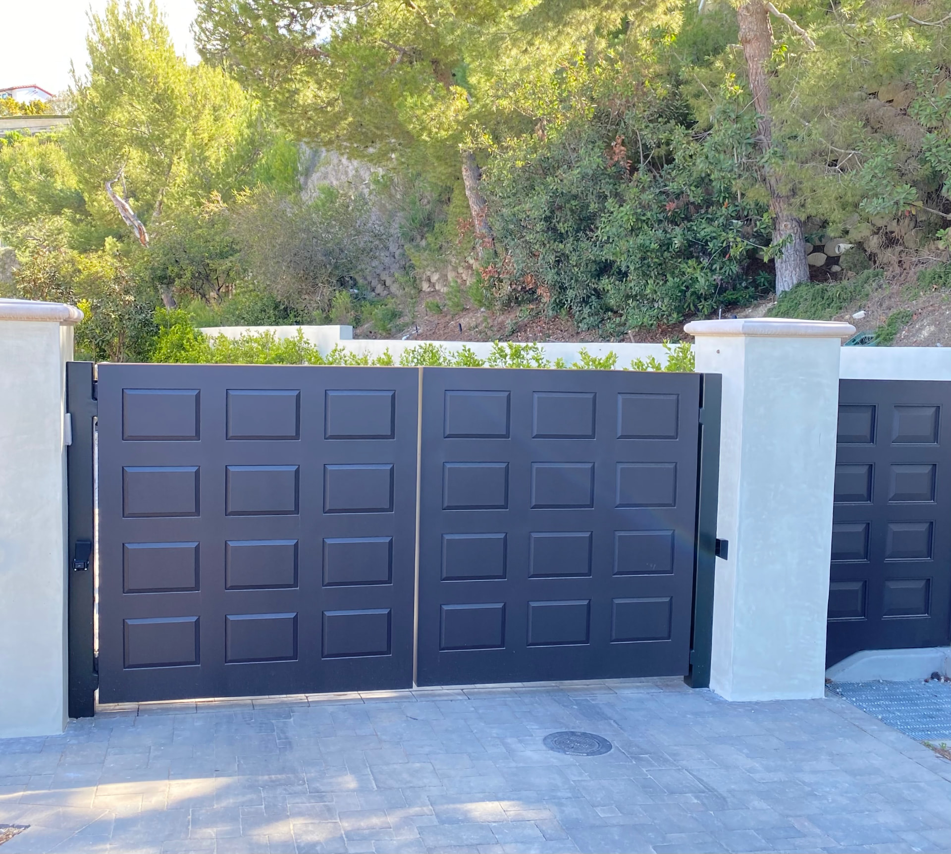 DG-02 — Paint Grade Automated Driveway Gate